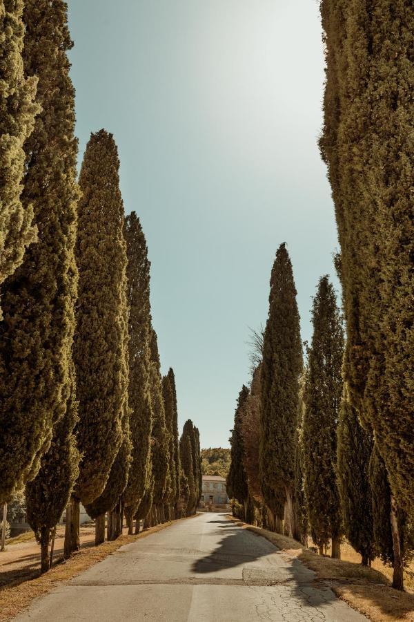 Casa Cavi Istria Villa Oprtalj Bagian luar foto